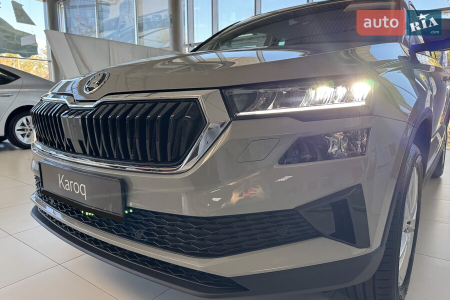 Skoda Karoq - фото 5