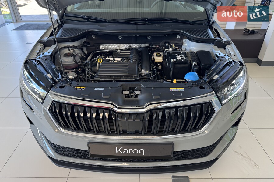 Skoda Karoq - фото 20
