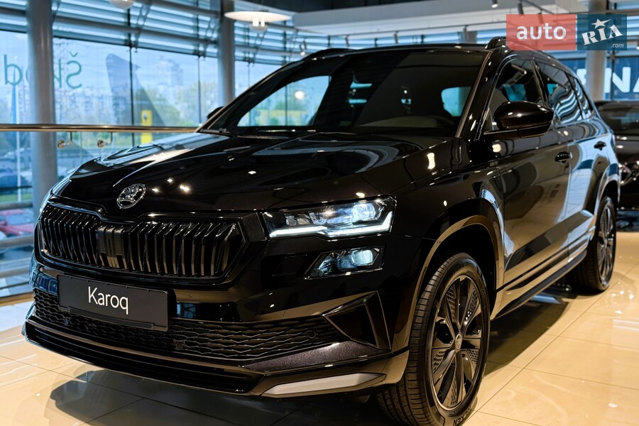 Skoda Karoq - фото 2