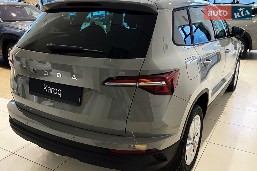 Skoda Karoq - фото 6