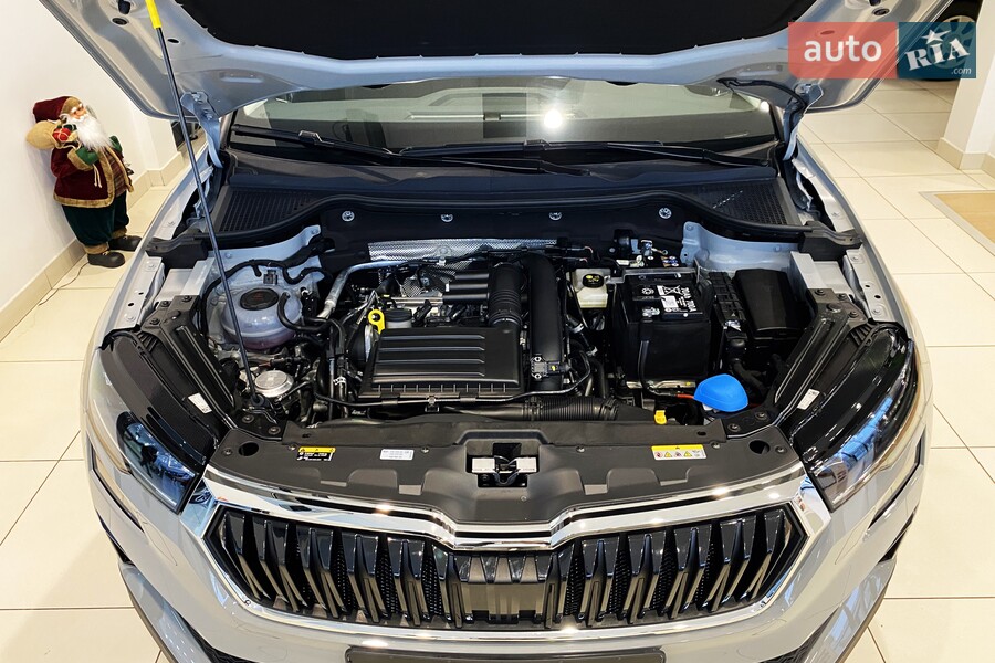 Skoda Karoq - фото 30