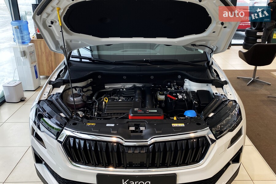 Skoda Karoq - фото 28