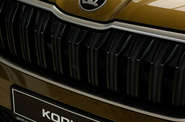Skoda Kodiaq - фото 3