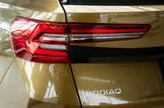 Skoda Kodiaq - фото 18