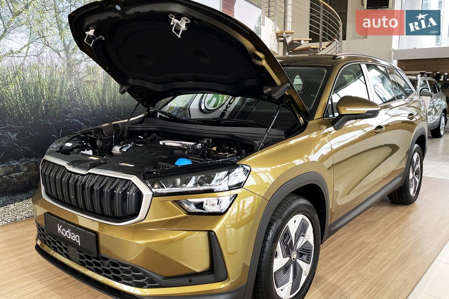 Skoda Kodiaq - фото 25