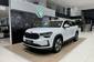 Skoda Kodiaq Selection