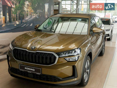 Skoda Kodiaq Selection 2.0 TFSI 7-DSG (190 к.с.) 4x4 2024