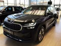 Skoda Kodiaq Skoda Kodiaq