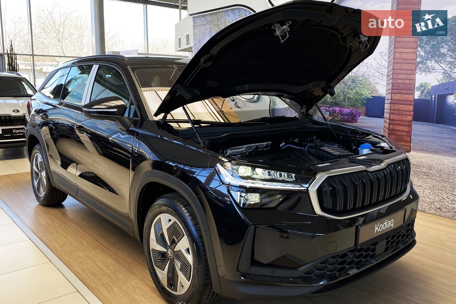 Skoda Kodiaq - фото 19