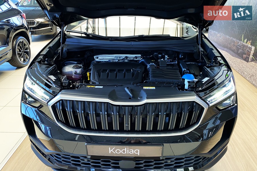 Skoda Kodiaq - фото 20
