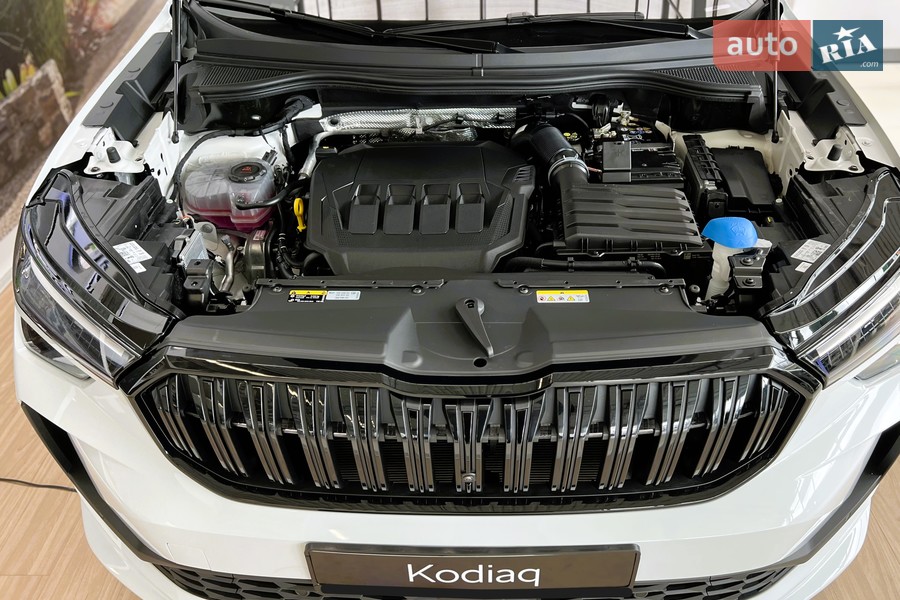 Skoda Kodiaq - фото 25