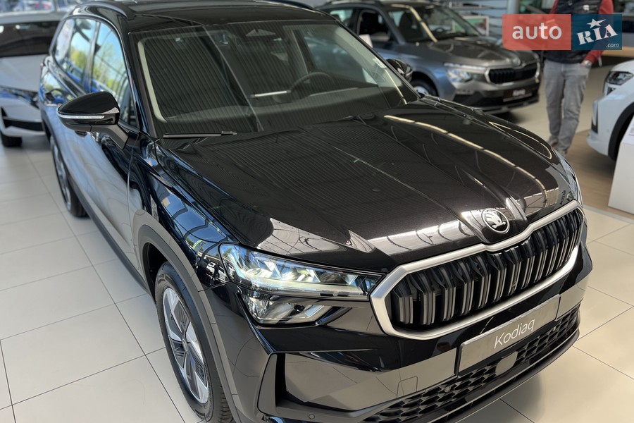 Skoda Kodiaq - фото 2