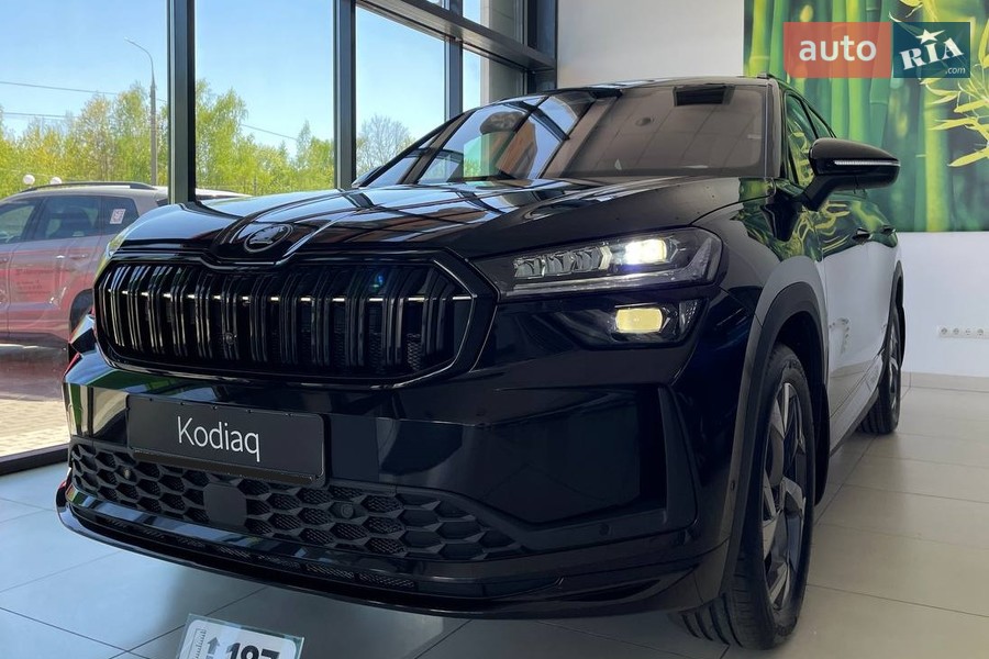 Skoda Kodiaq - фото 2