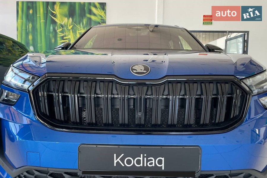 Skoda Kodiaq - фото 17