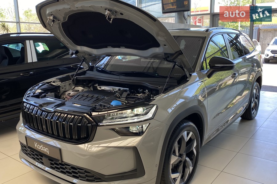Skoda Kodiaq - фото 18