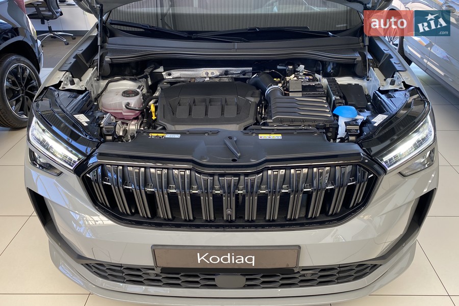 Skoda Kodiaq - фото 19