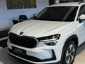 Skoda Kodiaq Skoda Kodiaq