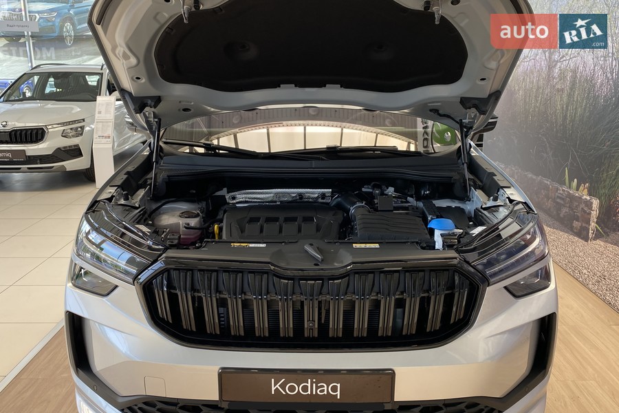 Skoda Kodiaq - фото 20