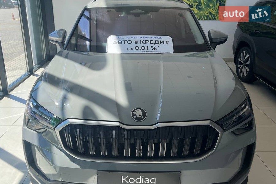 Skoda Kodiaq - фото 2