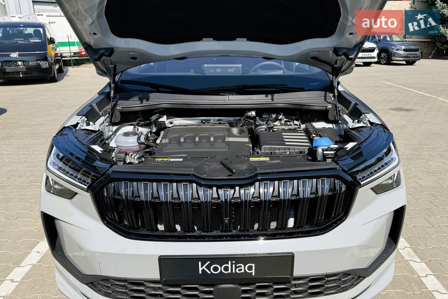 Skoda Kodiaq - фото 21