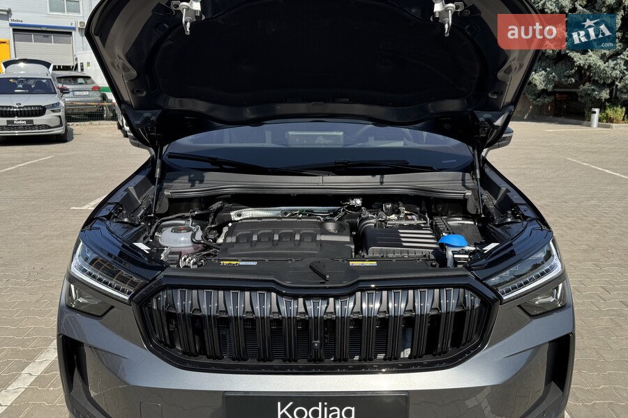 Skoda Kodiaq - фото 14