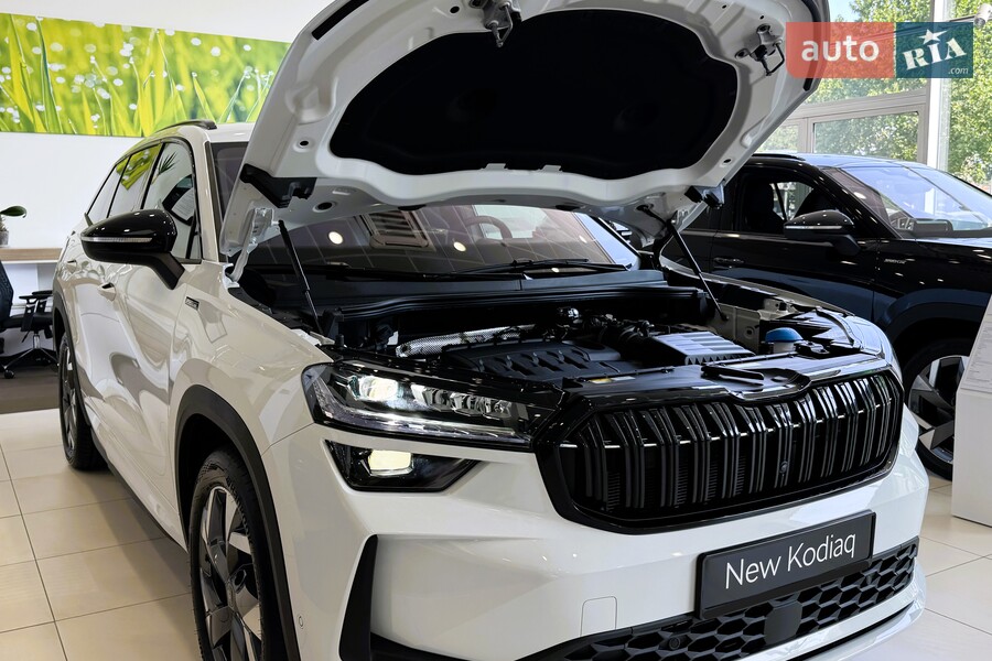 Skoda Kodiaq - фото 22