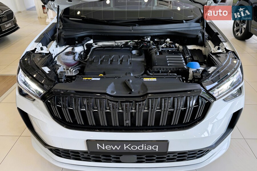 Skoda Kodiaq - фото 23
