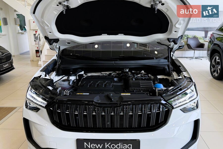 Skoda Kodiaq - фото 22