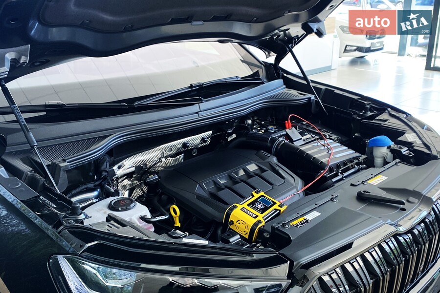 Skoda Kodiaq - фото 31