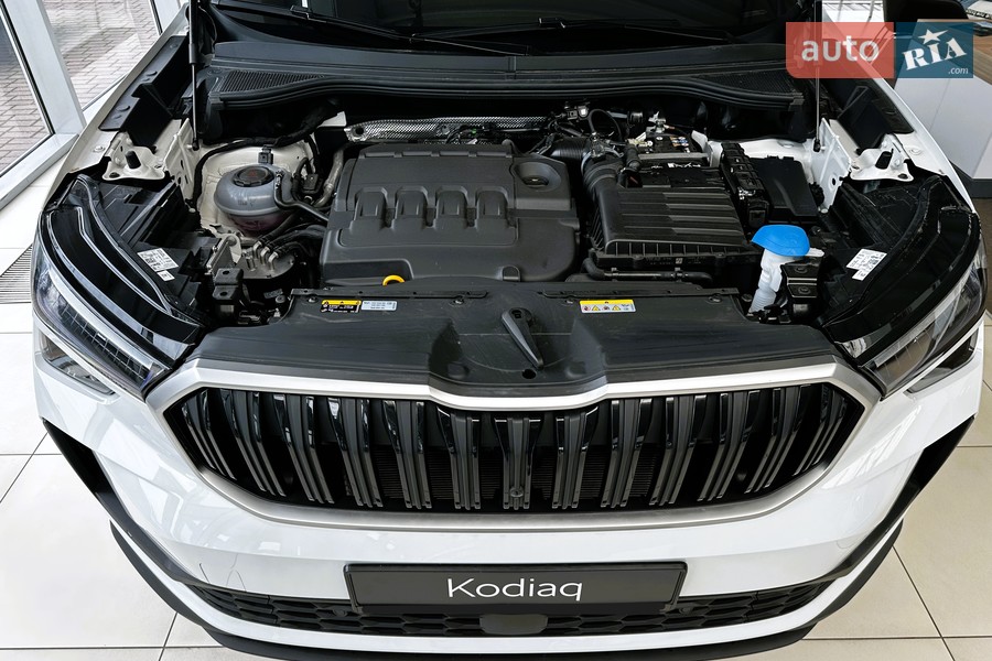 Skoda Kodiaq - фото 35