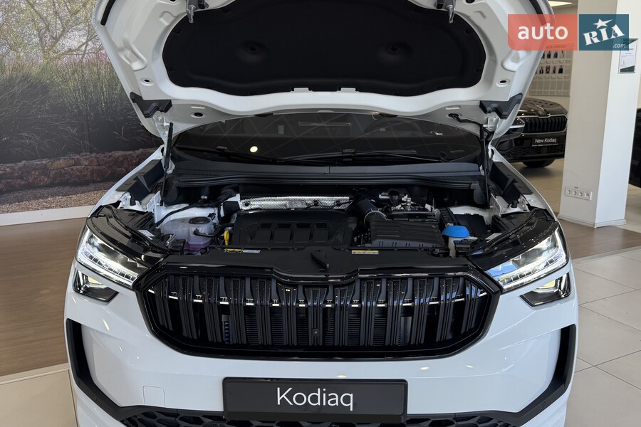 Skoda Kodiaq - фото 22