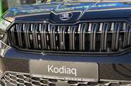 Skoda Kodiaq - фото 44