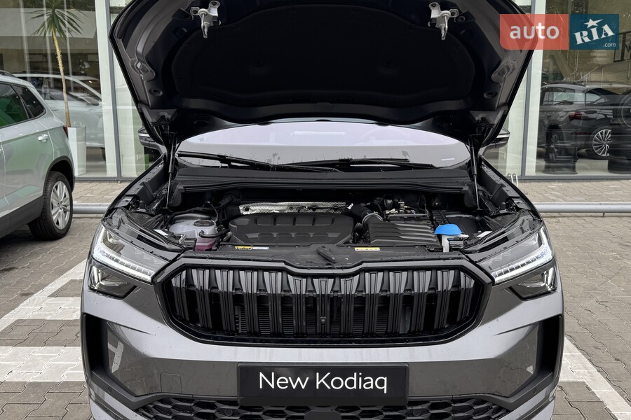 Skoda Kodiaq - фото 20