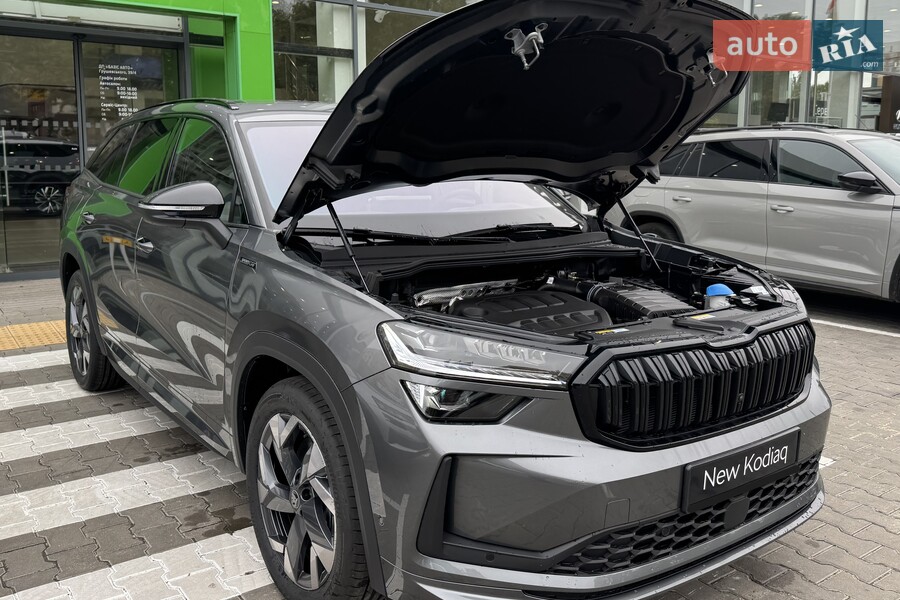 Skoda Kodiaq - фото 19