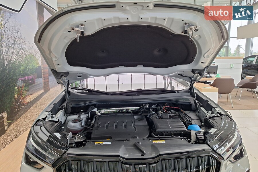 Skoda Kodiaq - фото 25