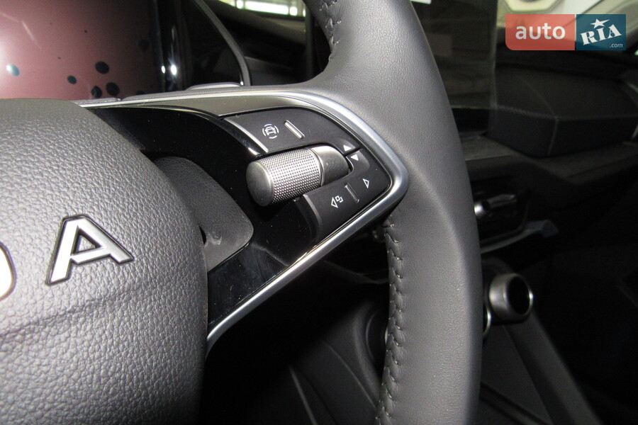 Skoda Kodiaq - фото 24