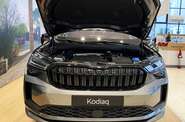 Skoda Kodiaq - фото 35