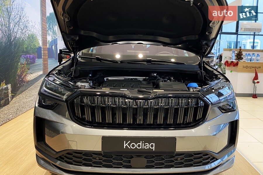 Skoda Kodiaq - фото 35