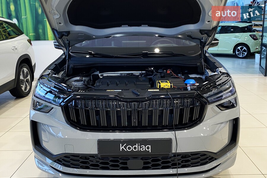 Skoda Kodiaq - фото 27
