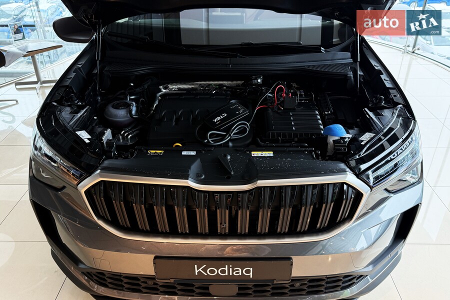 Skoda Kodiaq - фото 30