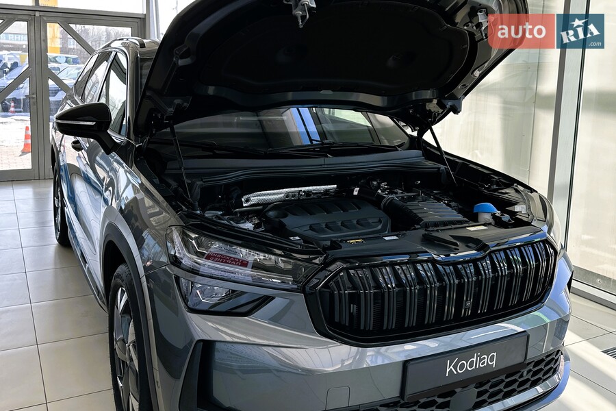 Skoda Kodiaq - фото 30