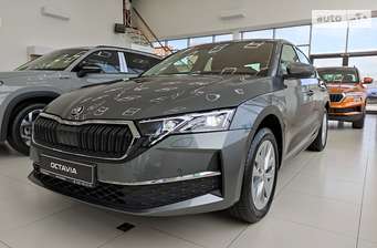 Skoda Octavia 2024 в Кропивницький (Кіровоград)