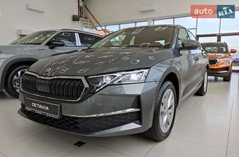 Skoda Octavia 2025 в Кропивницький (Кіровоград)