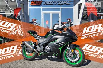 Spark SP 300RS-2 2025 Base