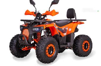 Sport Energy AFD 125 2024 Base