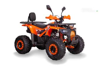 Sport Energy AFD 125 2025 Base