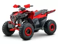 Sport Energy AFF 125 Sport Energy AFF 125