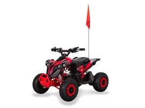 Sport Energy FFK 1200