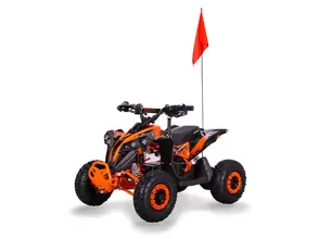 Sport Energy FFK 1200