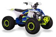 Sport Energy FZ 1500 Base